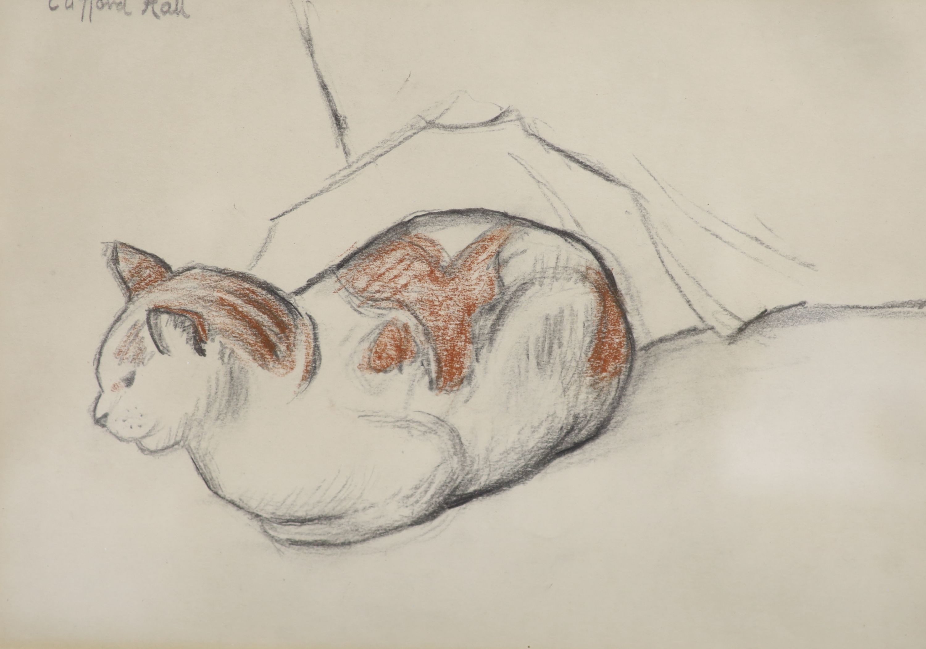 Clifford Hall (1904-1973), two pencil and chalk drawings, Studies of cats, signed, 18 x 25cm and 10 x 18cm